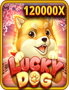 วิธีเล่น Sakura Fortune Slot เกมยอดฮิตจาก PG Soft